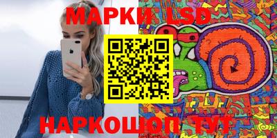 гашик Берёзовский