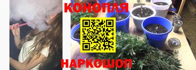 гашик Берёзовский