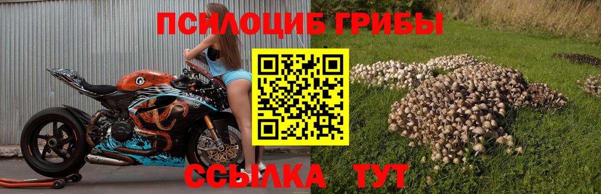Псилоцибиновые грибы ЛСД Советский