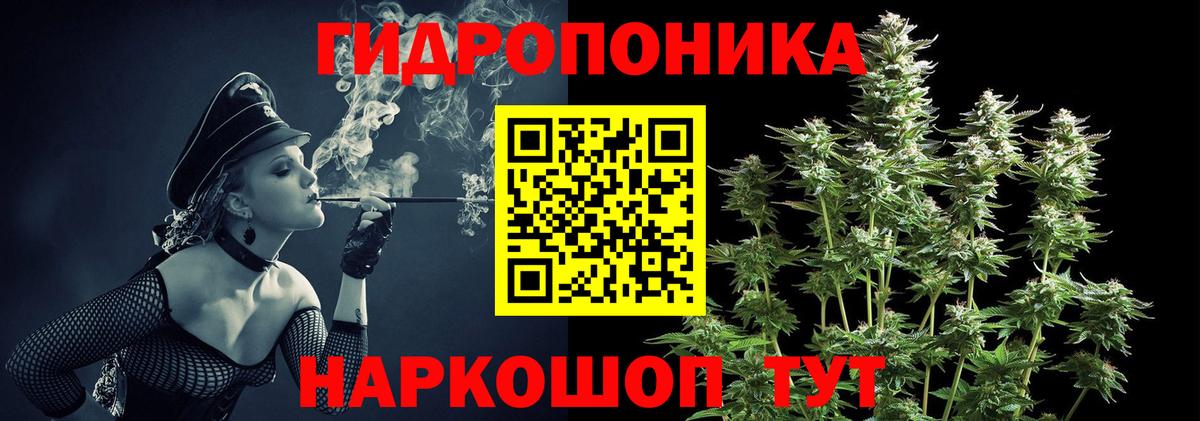 Шишки марихуана сатива  Шишки марихуана сатива  Советский  Вход с VPN 